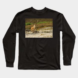 stag in cotton grass peak district Long Sleeve T-Shirt